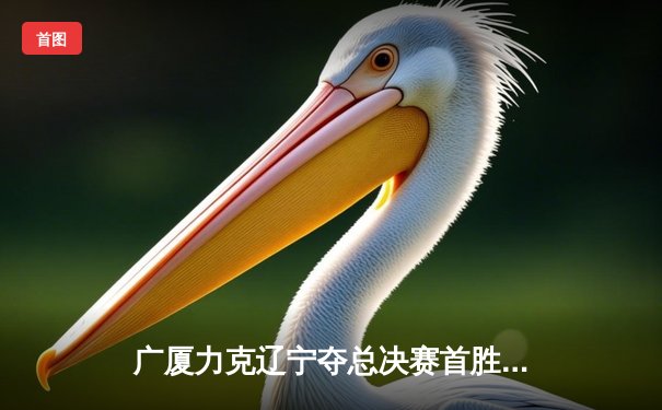 广厦力克辽宁夺总决赛首胜，孙铭徽30+10率队捍卫主场